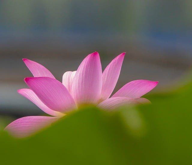 合江縣先市職業(yè)高級中學(xué)2025年招生錄取分?jǐn)?shù)線