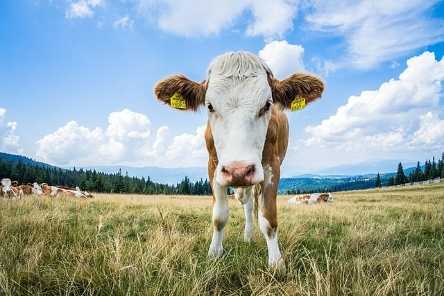 四川單招學(xué)校地位高嗎