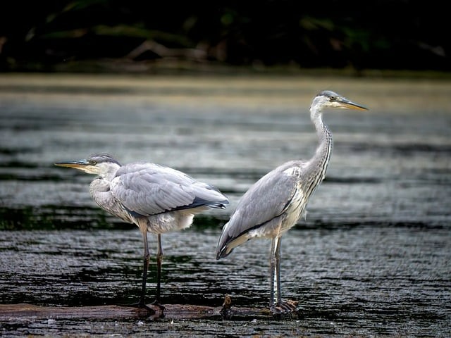 四川單招有哪些優(yōu)勢專業(yè)