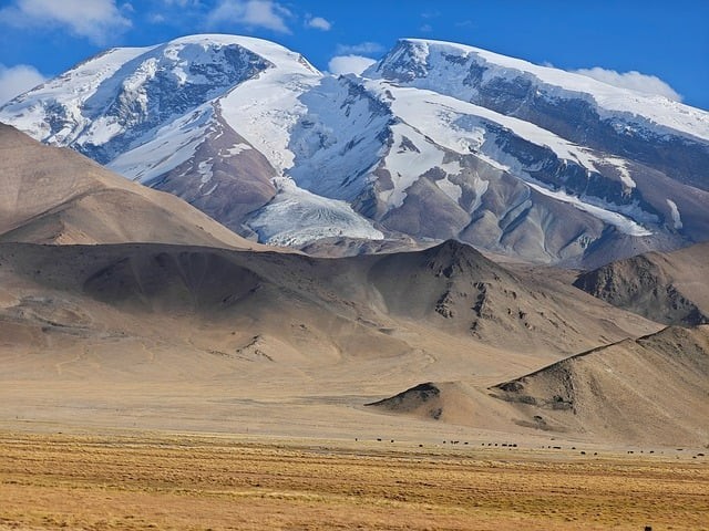 四川單招可以考軍校嗎