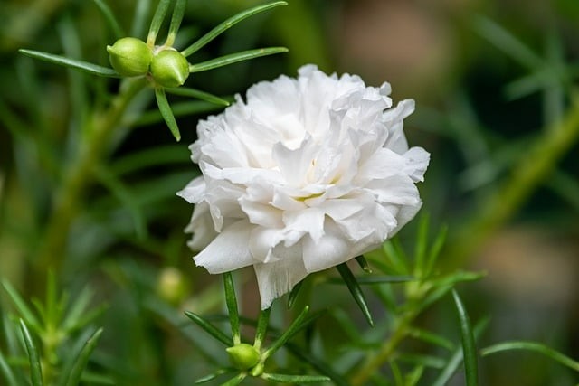 四川單招培訓(xùn)機構(gòu)普華