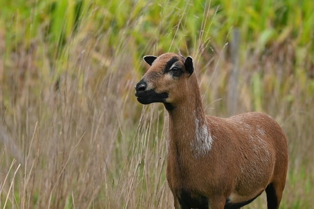 四川單招機(jī)構(gòu)價格