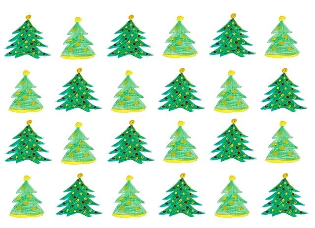 成都希望職業(yè)學(xué)校國際升學(xué)班