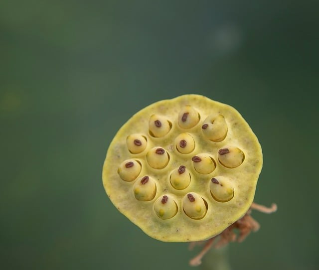四川單招各校排名