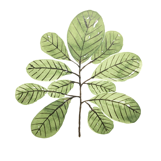 四川省筠連縣城南職業(yè)中學(xué)學(xué)前教育專(zhuān)業(yè) 四川省筠連縣城南職業(yè)中學(xué)學(xué)前教育專(zhuān)業(yè)