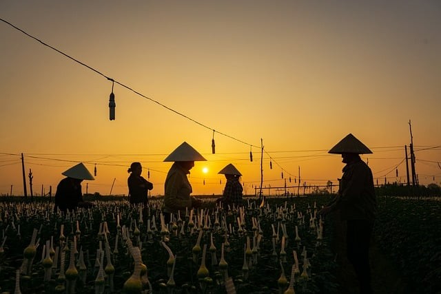 四川省長寧縣職業(yè)高級中學校報名截止時間 四川省長寧縣職業(yè)高級中學校報名截止時間