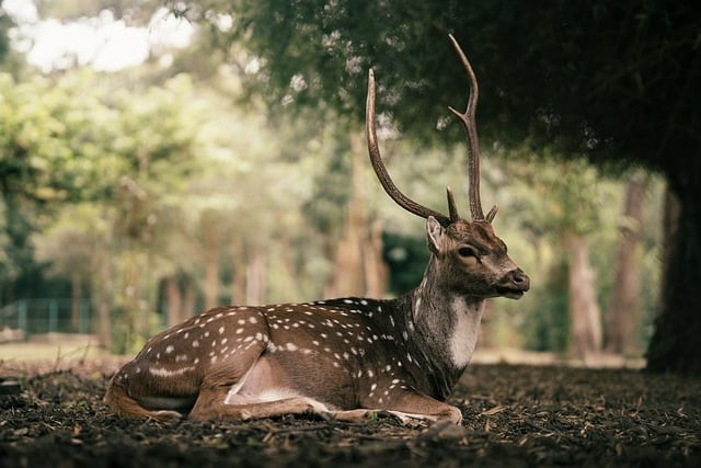 四川省金堂縣職業(yè)高級中學簡介 四川省金堂縣職業(yè)高級中學簡介