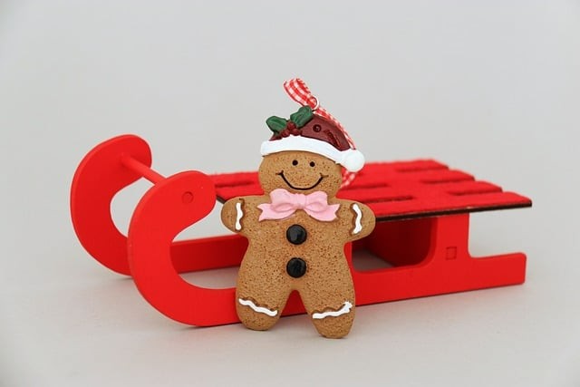 四川單招宜賓蔣老師