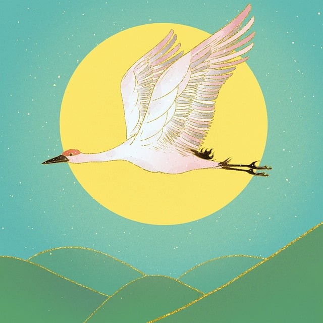 西充單招培訓(xùn)學(xué)校有哪些，西充縣招辦電話