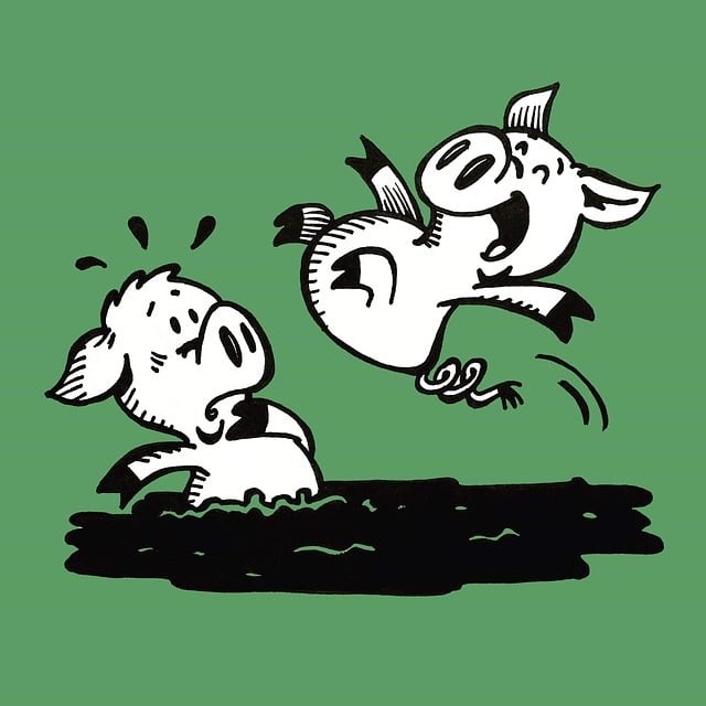 南充中等專業(yè)學(xué)校(南充中專學(xué)校)春季招生簡(jiǎn)章 南充中等專業(yè)學(xué)校(南充中專學(xué)校)春季招生簡(jiǎn)章