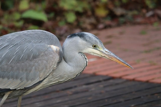 遂寧市射洪縣太和中學(xué)2024招生簡介 遂寧市射洪縣太和中學(xué)2024招生簡介