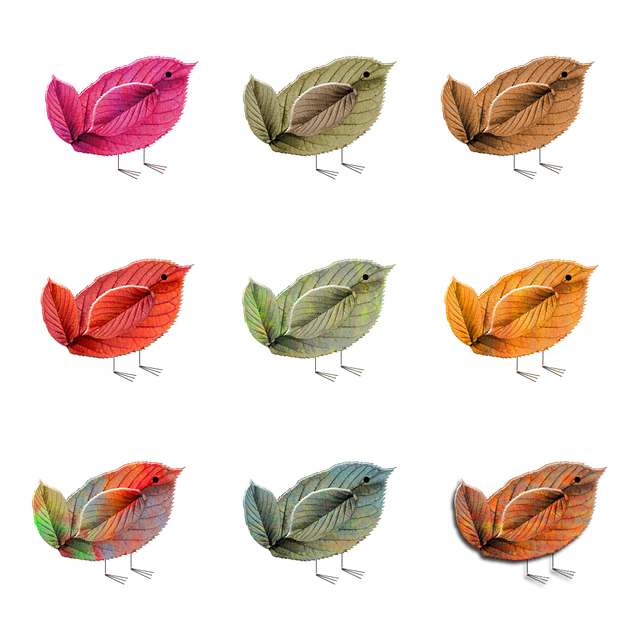 成都新都區(qū)單招培訓(xùn)學(xué)校，成都單招培訓(xùn)學(xué)校招生簡章