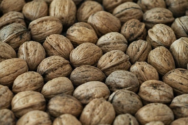 四川單招學校官網(wǎng)崩了