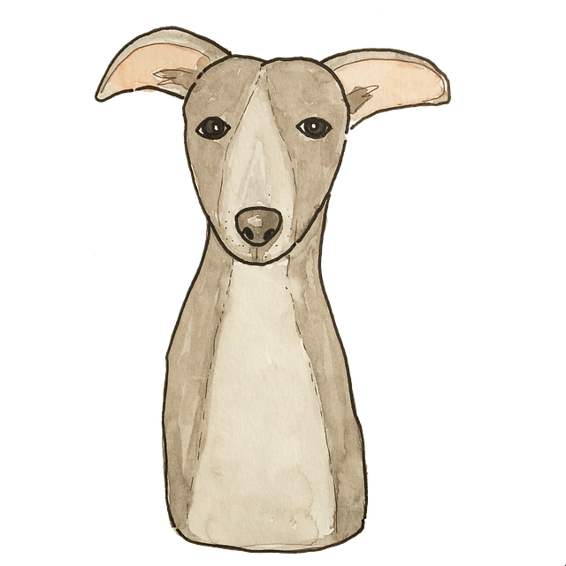 南江小河職業(yè)中學(xué)五年制大專學(xué)校位置「2024年更新」 南江小河職業(yè)中學(xué)五年制大專學(xué)校位置「2024年更新」