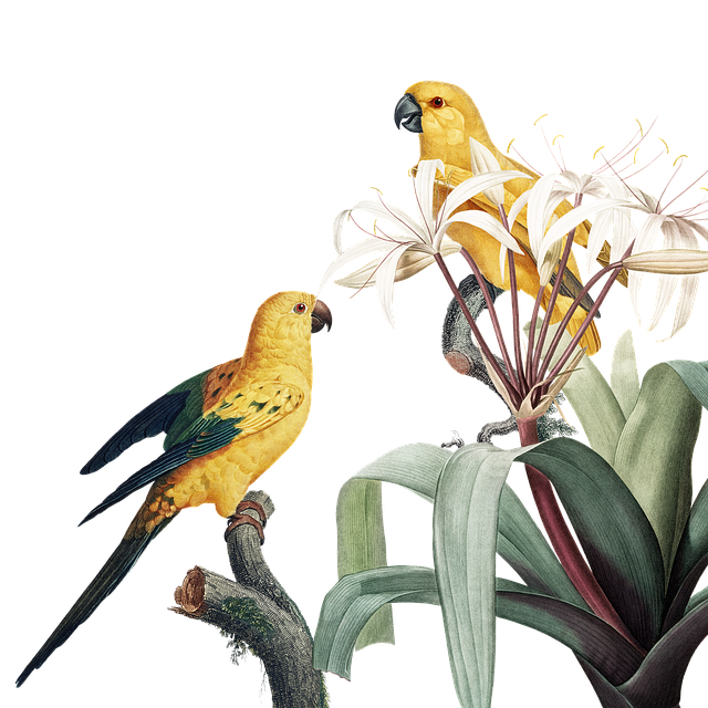 成都新前景教育單招培訓(xùn)，成都新前景教育單招培訓(xùn)學(xué)校