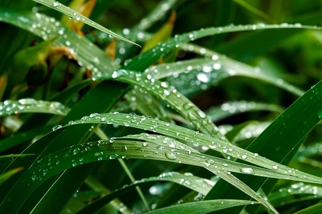 四川單招有語(yǔ)文專業(yè)嗎 四川單招有語(yǔ)文專業(yè)嗎