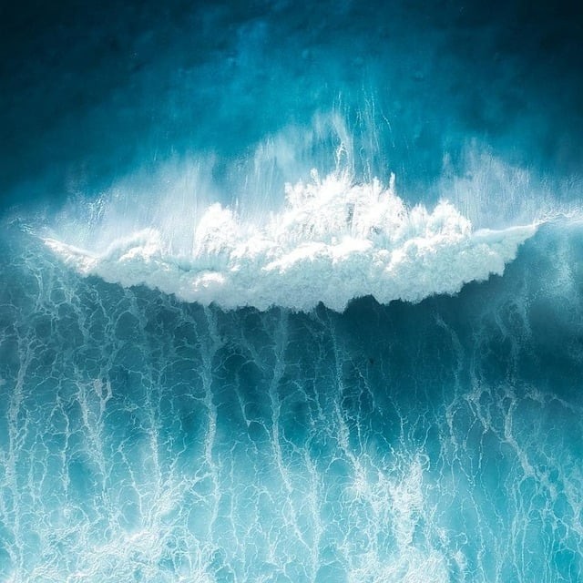 四川單招大學(xué)公辦分?jǐn)?shù)