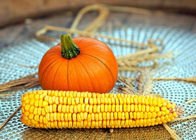 四川單招各大學排名