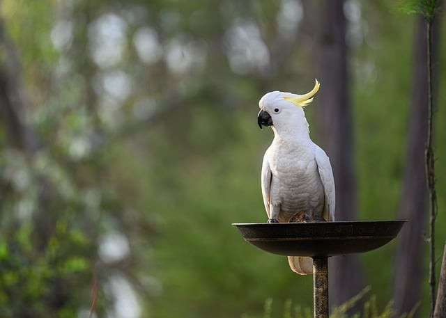 四川2025單招報考 四川2025單招報考