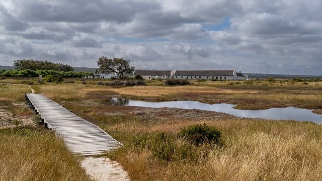 四川單招如何申請加分