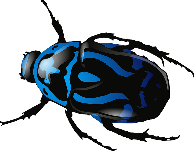 四川省單招培訓(xùn)班成都，四川單招學(xué)校成都