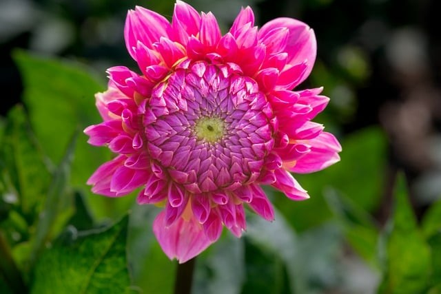 四川單招一共多少學校 四川單招一共多少學校