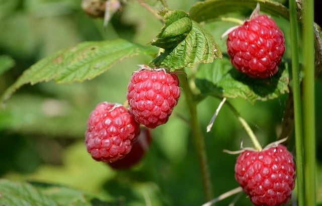 四川單招100 四川單招100