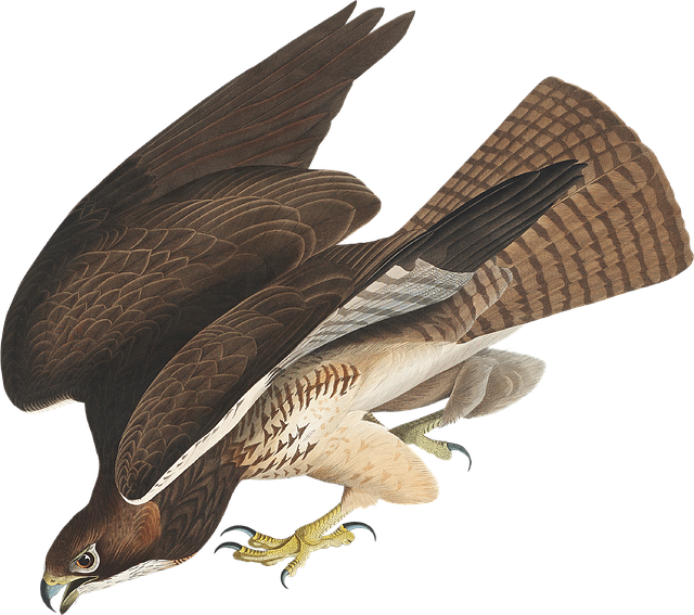 2024年成都市鐵路學(xué)校招收鐵道車(chē)輛運(yùn)用與檢修培訓(xùn) 2024年成都市鐵路學(xué)校招收鐵道車(chē)輛運(yùn)用與檢修培訓(xùn)