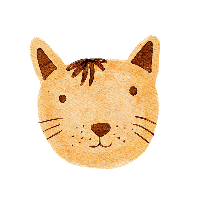 貴州省貴陽市新興中等職業(yè)技術(shù)學校校園環(huán)境如何，寢室好不好