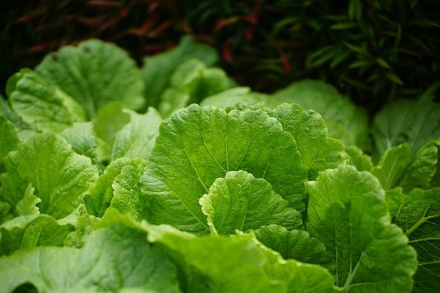 成都市郫縣希望職業(yè)學(xué)校學(xué)校地址 成都市郫縣希望職業(yè)學(xué)校學(xué)校地址