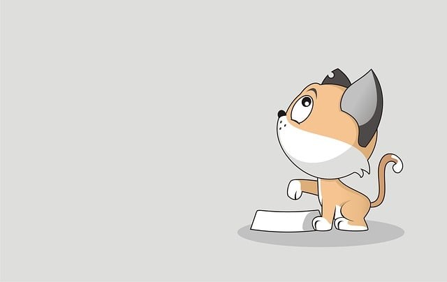 四川單招培訓(xùn)班南充，2021南充單招學(xué)校有哪些