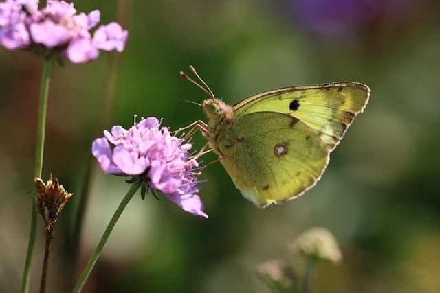 四川三校生單招最新情況 四川三校生單招最新情況