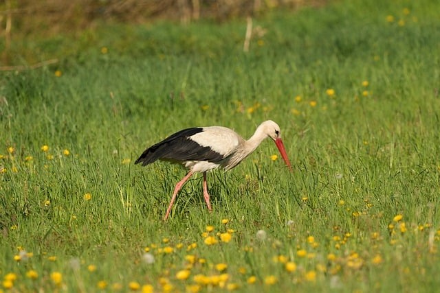 蒼溪縣嘉陵職業(yè)學(xué)校2025年錄取分?jǐn)?shù)線 蒼溪縣嘉陵職業(yè)學(xué)校2025年錄取分?jǐn)?shù)線