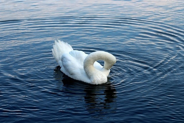 四川單招400分專(zhuān)業(yè)