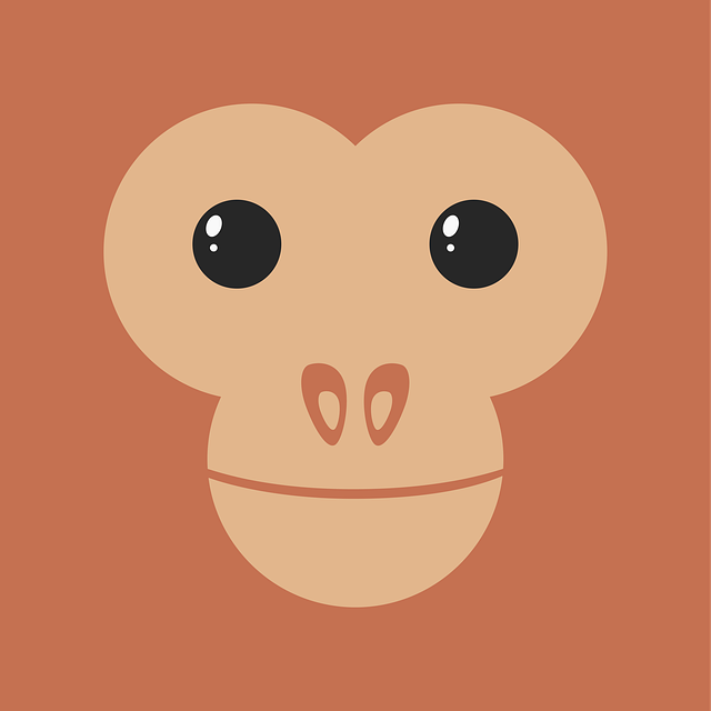 四川融創(chuàng)高職單招網(wǎng)，成都融創(chuàng)單招培訓(xùn)中心在哪里地址