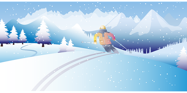 四川單招專業(yè)填報(bào)參考 四川單招專業(yè)填報(bào)參考