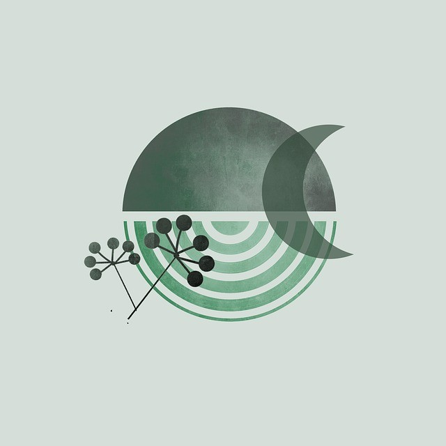 24年四川省單招省控線