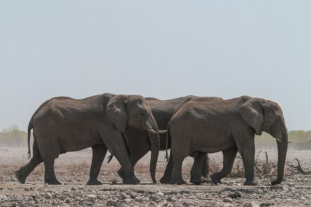 四川單招真題哪里找 四川單招真題哪里找