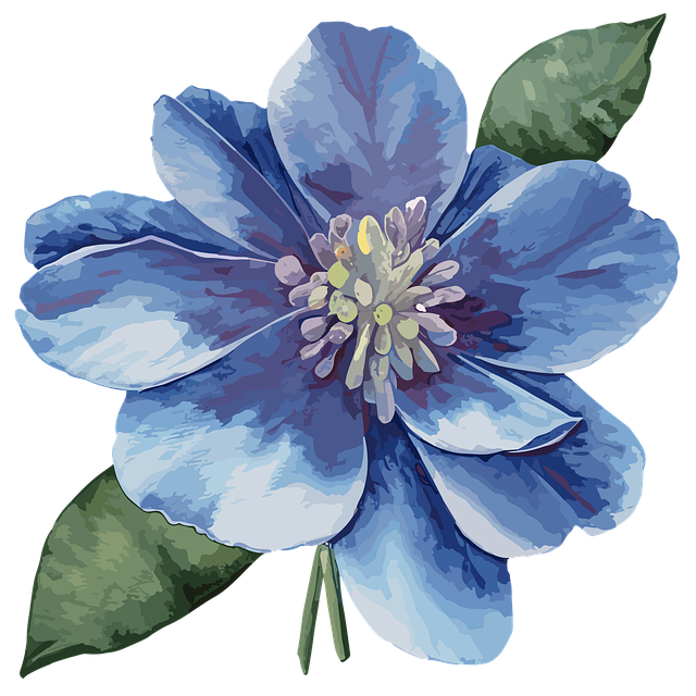 四川射洪市單招培訓機構(gòu)，四川射洪市單招培訓機構(gòu)有哪些