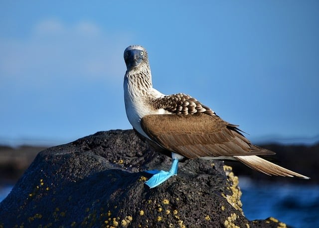 四川單招學(xué)費(fèi)最新匯總 四川單招學(xué)費(fèi)最新匯總