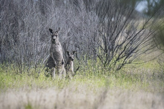 四川單招醫(yī)美類學(xué)校 四川單招醫(yī)美類學(xué)校