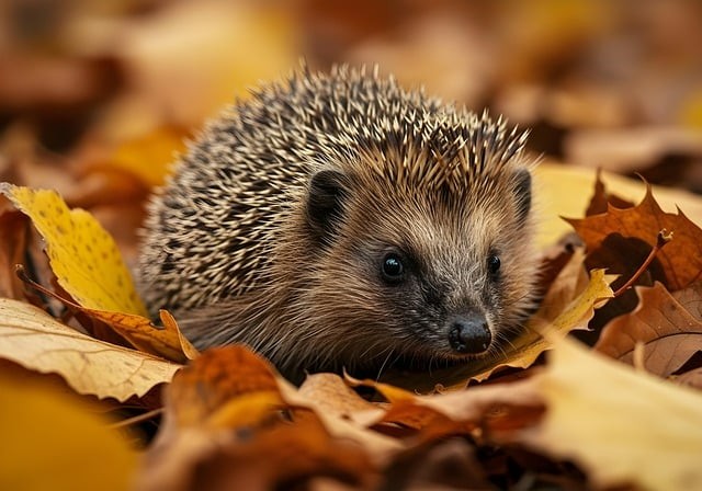 成都市溫江區(qū)燎原職業(yè)技術(shù)學(xué)校管理是怎樣的？就業(yè)渠道