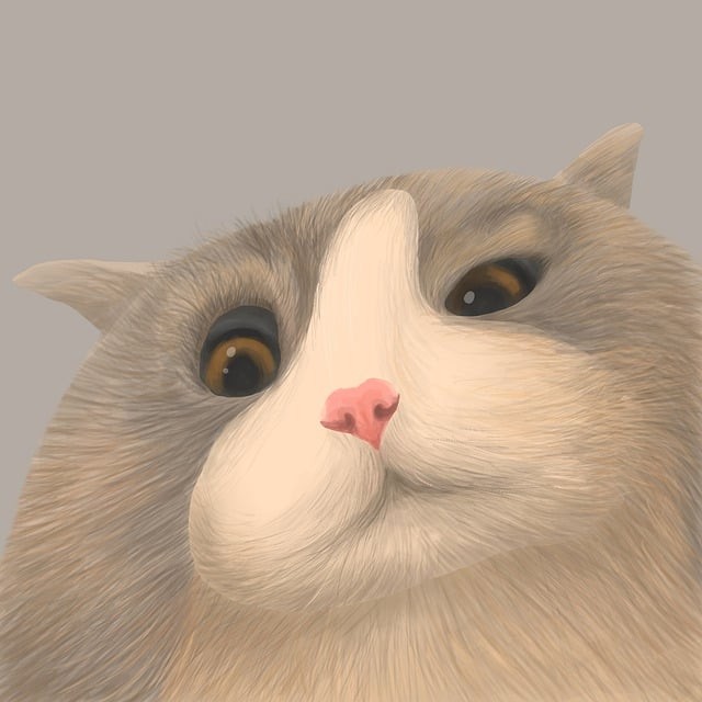 成都卓惠單招培訓(xùn)機(jī)構(gòu)，成都卓元教育培訓(xùn)中心