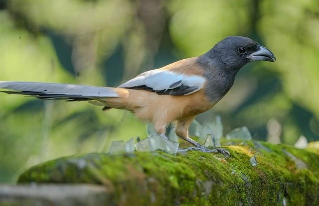 四川省金堂縣職業(yè)高級中學簡介 四川省金堂縣職業(yè)高級中學簡介