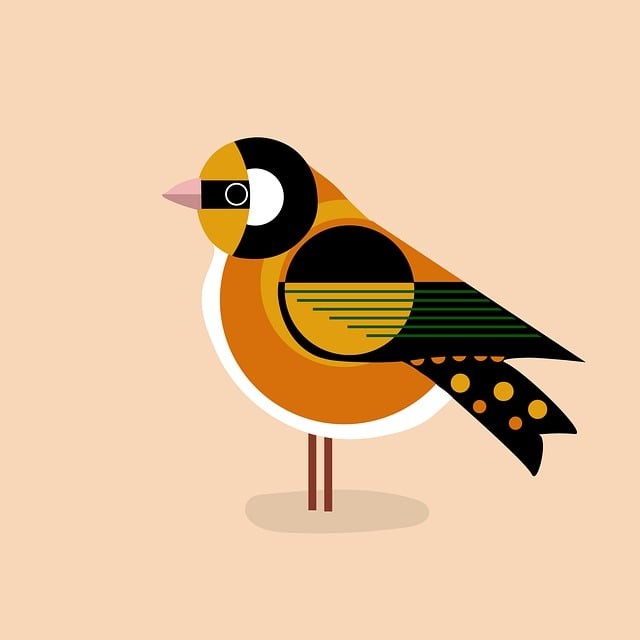 成都大豐單招培訓(xùn)機構(gòu)，成都大豐藝術(shù)培訓(xùn)學(xué)校