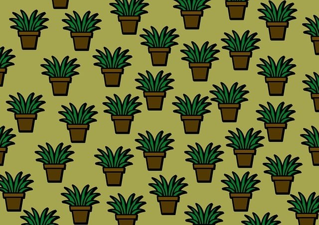 四川省電子商務(wù)學(xué)校公辦還是民辦，改不好，怎么樣