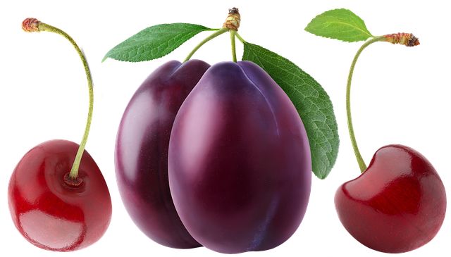 高坪區(qū)職業(yè)高級中學(xué)2025年招生錄取分?jǐn)?shù)線