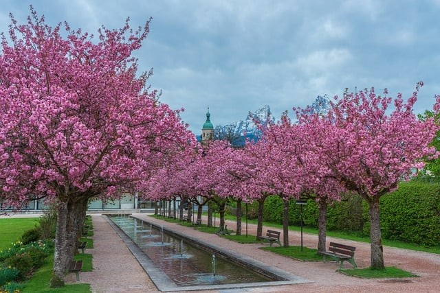 成都市成醫(yī)一附院護(hù)士學(xué)校的收費(fèi)標(biāo)準(zhǔn)