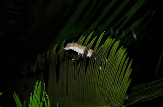 四川單招直播 網(wǎng)課 四川單招直播 網(wǎng)課