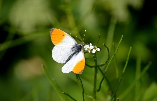 四川單招看成績(jī)